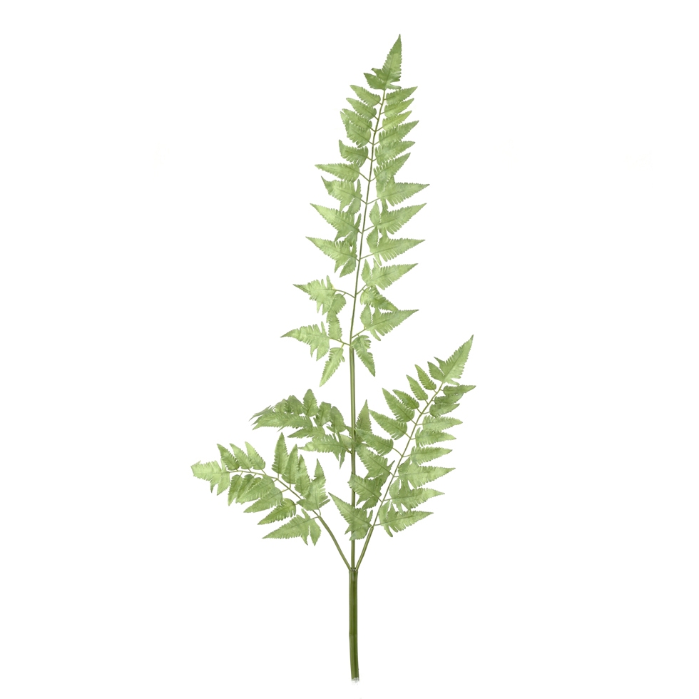 RAMA VERDE